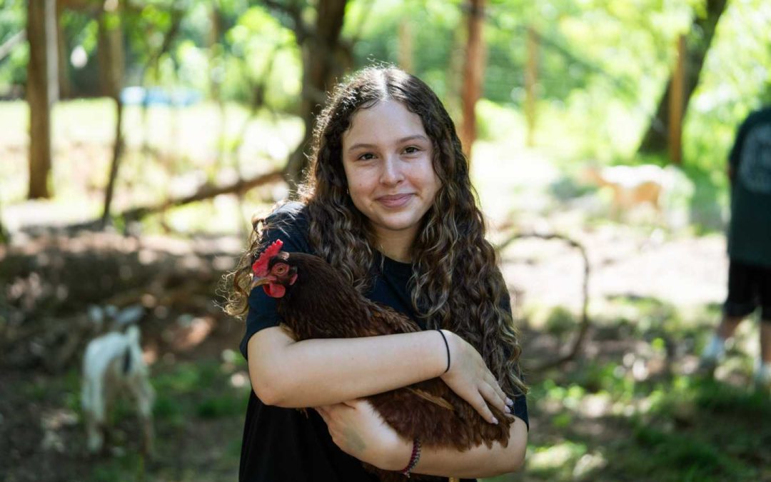 A Duck, a Chicken, and the Magic of Camp